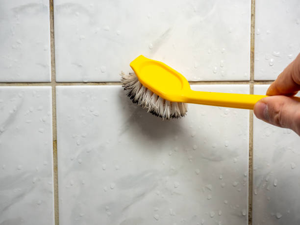 Best Post-Remediation Services in Somers Point, NJ