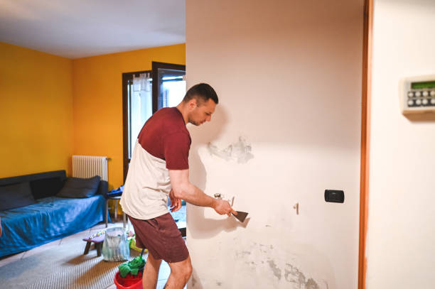 Reliable Somers Point, NJ Mold Remediation Solutions